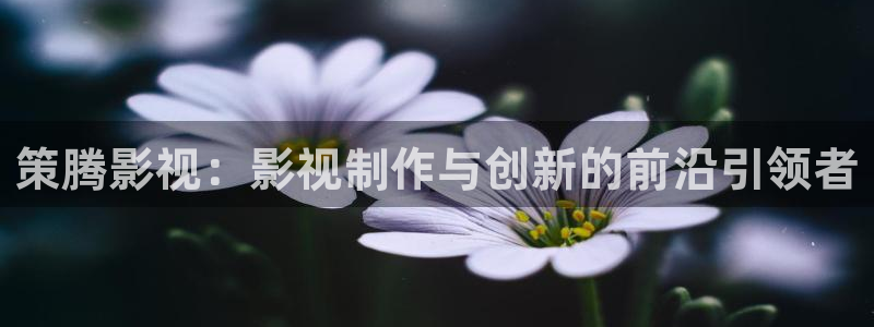 草民影院电视剧大全最新电影：策腾影视：影视制作与创新的前沿引领者