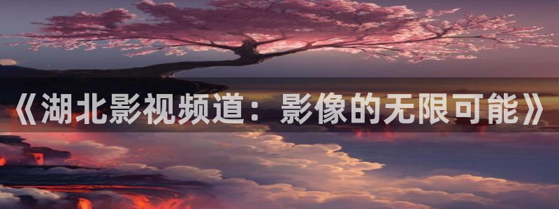 看一天草民理论电影：《湖北影视频道：影像的无限可能》