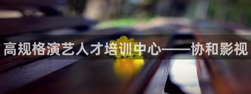 草民虫虫电影院：高规格演艺人才培训中心——协和影视
