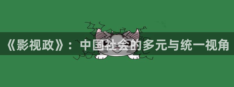 87影院草民：《影视政》：中国社会的多元与统一视角