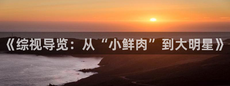 草民电影院免费电影：《综视导览：从“小鲜肉”到大明星》