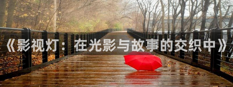 草民看一天影院：《影视灯：在光影与故事的交织中》