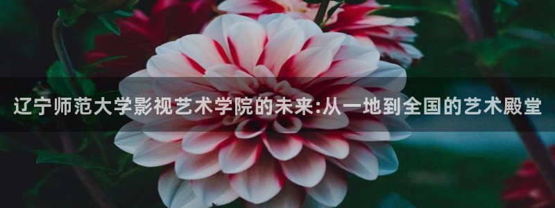 最新草民影院：辽宁师范大学影视艺术学院的未来:从一地到全国的艺术殿堂